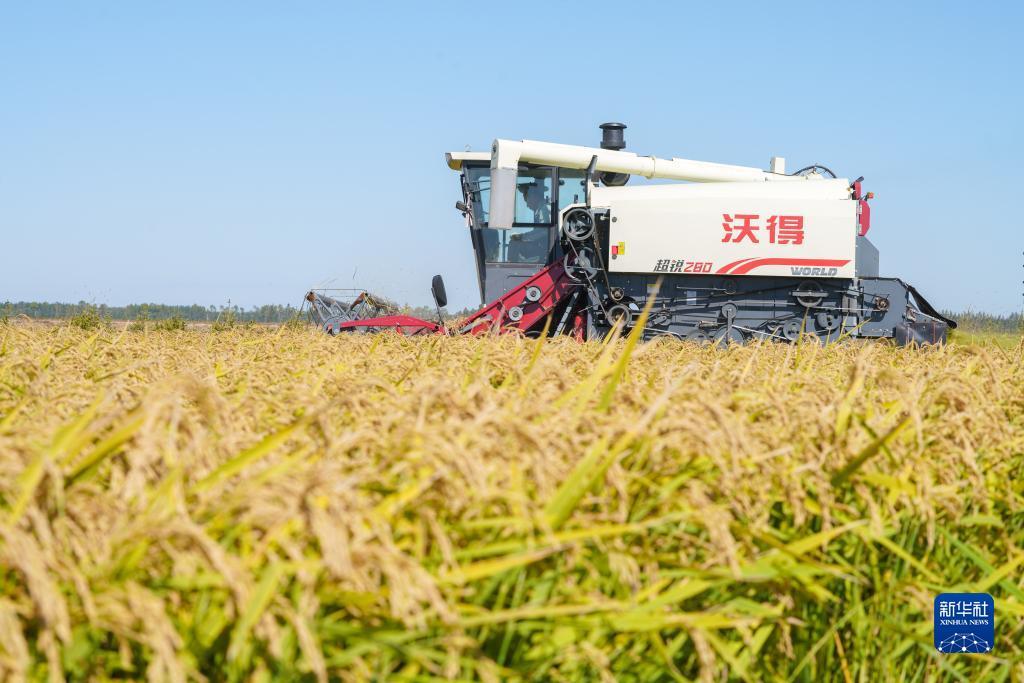 新莆京app官网下载8883
